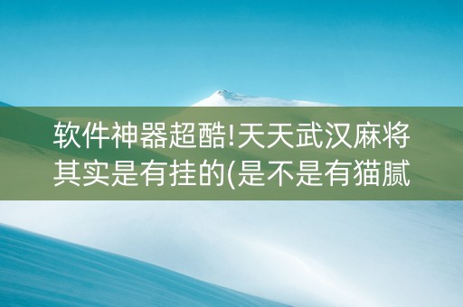 软件神器超酷!天天武汉麻将其实是有挂的(是不是有猫腻)