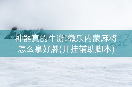 神器真的牛掰!微乐内蒙麻将怎么拿好牌(开挂辅助脚本)