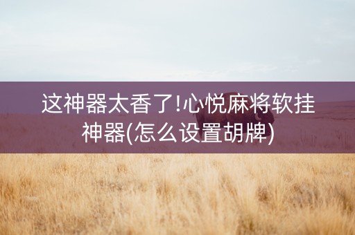 这神器太香了!心悦麻将软挂神器(怎么设置胡牌)