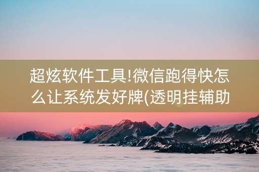 超炫软件工具!微信跑得快怎么让系统发好牌(透明挂辅助器)