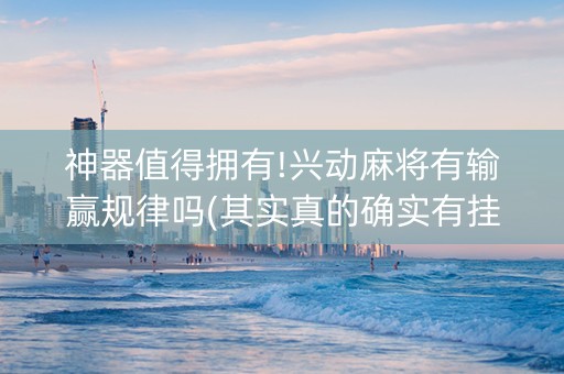 神器值得拥有!兴动麻将有输赢规律吗(其实真的确实有挂)