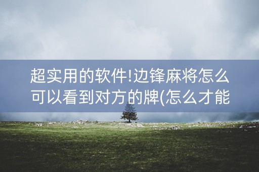 超实用的软件!边锋麻将怎么可以看到对方的牌(怎么才能常赢)