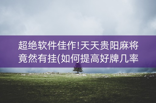 超绝软件佳作!天天贵阳麻将竟然有挂(如何提高好牌几率)