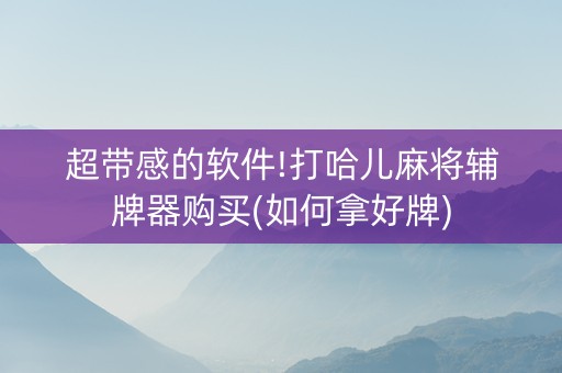 超带感的软件!打哈儿麻将辅牌器购买(如何拿好牌)