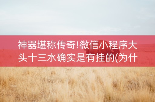 神器堪称传奇!微信小程序大头十三水确实是有挂的(为什么经常输)