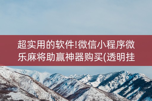 超实用的软件!微信小程序微乐麻将助赢神器购买(透明挂辅助器)