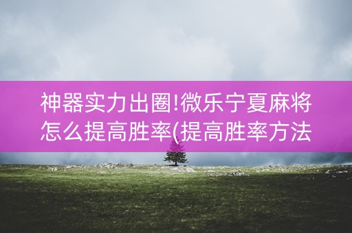 神器实力出圈!微乐宁夏麻将怎么提高胜率(提高胜率方法)