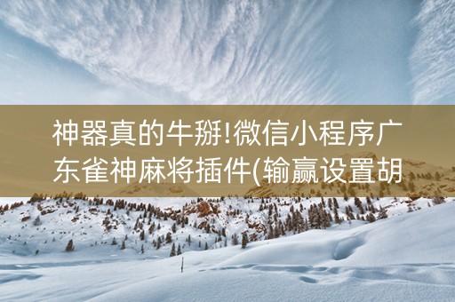 神器真的牛掰!微信小程序广东雀神麻将插件(输赢设置胡牌规律)