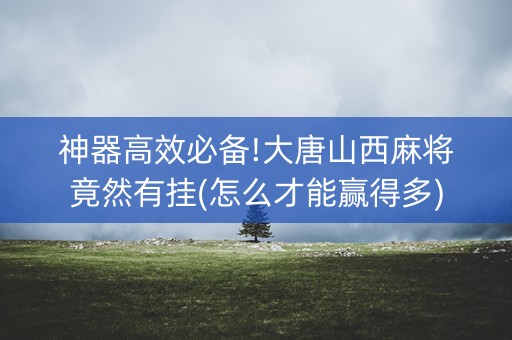神器高效必备!大唐山西麻将竟然有挂(怎么才能赢得多)
