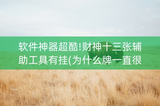 软件神器超酷!财神十三张辅助工具有挂(为什么牌一直很差)