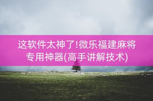这软件太神了!微乐福建麻将专用神器(高手讲解技术)