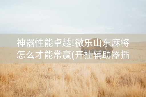 神器性能卓越!微乐山东麻将怎么才能常赢(开挂辅助器插件)