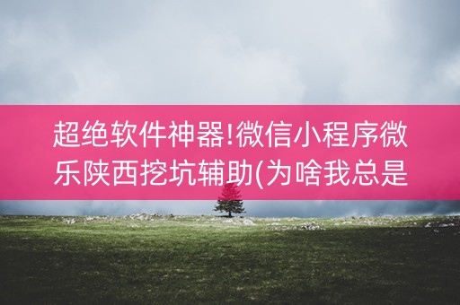 超绝软件神器!微信小程序微乐陕西挖坑辅助(为啥我总是输)