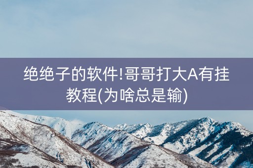绝绝子的软件!哥哥打大A有挂教程(为啥总是输)