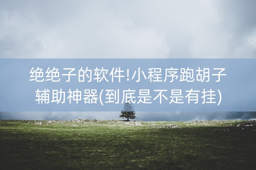 绝绝子的软件!小程序跑胡子辅助神器(到底是不是有挂)