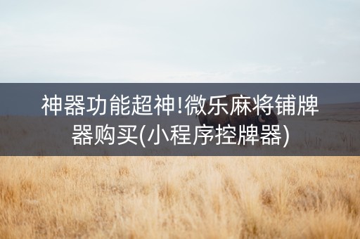 神器功能超神!微乐麻将铺牌器购买(小程序控牌器)