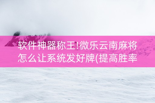 软件神器称王!微乐云南麻将怎么让系统发好牌(提高胜率技巧)