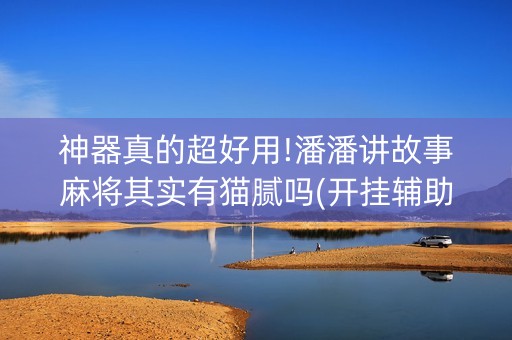 神器真的超好用!潘潘讲故事麻将其实有猫腻吗(开挂辅助器插件)