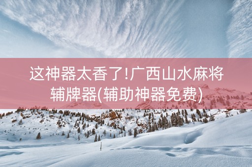这神器太香了!广西山水麻将辅牌器(辅助神器免费)