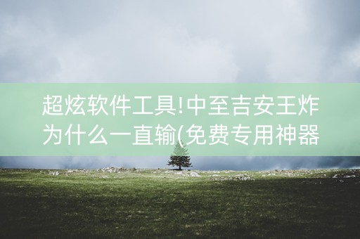 超炫软件工具!中至吉安王炸为什么一直输(免费专用神器)