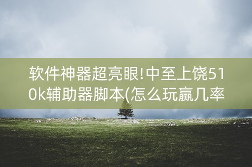 软件神器超亮眼!中至上饶510k辅助器脚本(怎么玩赢几率大)