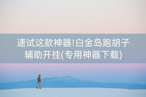 速试这款神器!白金岛跑胡子辅助开挂(专用神器下载)