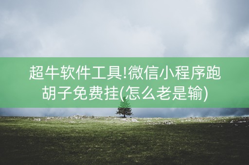超牛软件工具!微信小程序跑胡子免费挂(怎么老是输)