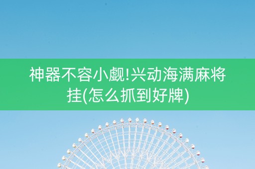 神器不容小觑!兴动海满麻将挂(怎么抓到好牌)