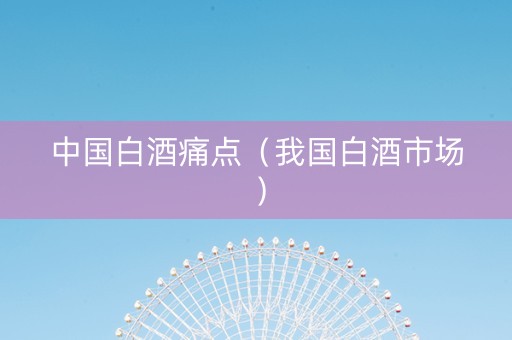 中国白酒痛点（我国白酒市场）