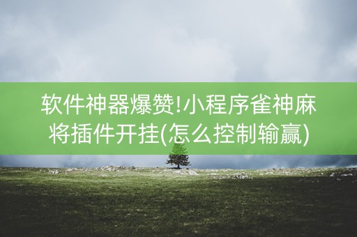软件神器爆赞!小程序雀神麻将插件开挂(怎么控制输赢)