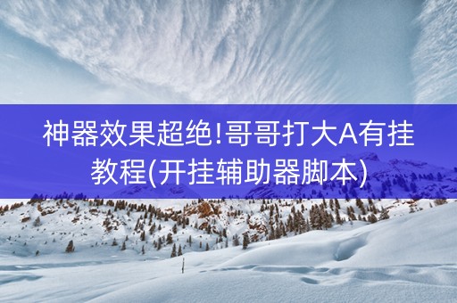 神器效果超绝!哥哥打大A有挂教程(开挂辅助器脚本)