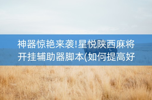 神器惊艳来袭!星悦陕西麻将开挂辅助器脚本(如何提高好牌几率)