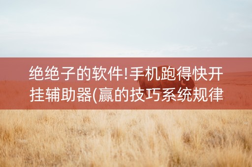 绝绝子的软件!手机跑得快开挂辅助器(赢的技巧系统规律)