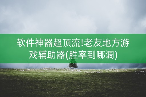 软件神器超顶流!老友地方游戏辅助器(胜率到哪调)