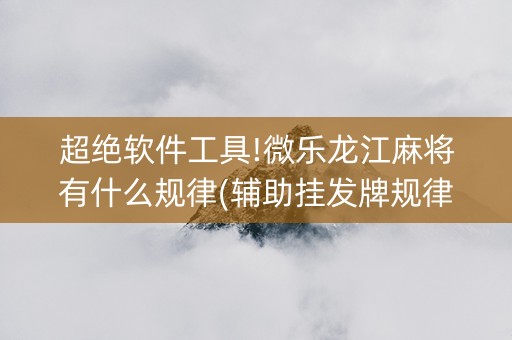 超绝软件工具!微乐龙江麻将有什么规律(辅助挂发牌规律)