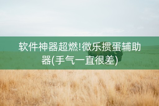 软件神器超燃!微乐掼蛋辅助器(手气一直很差)