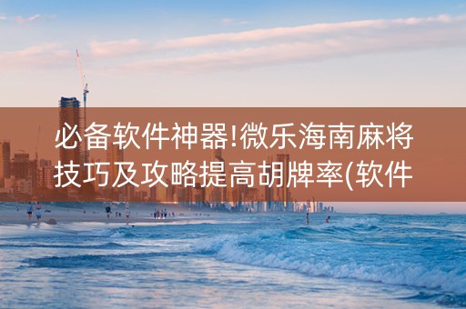 必备软件神器!微乐海南麻将技巧及攻略提高胡牌率(软件怎么打赢)