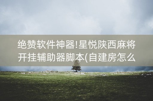 绝赞软件神器!星悦陕西麻将开挂辅助器脚本(自建房怎么拿好牌)