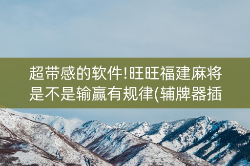 超带感的软件!旺旺福建麻将是不是输赢有规律(辅牌器插件购买)