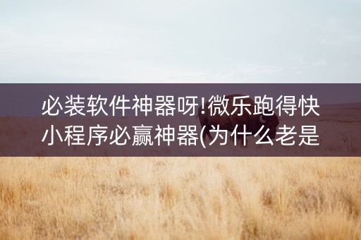 必装软件神器呀!微乐跑得快小程序必赢神器(为什么老是输呢)