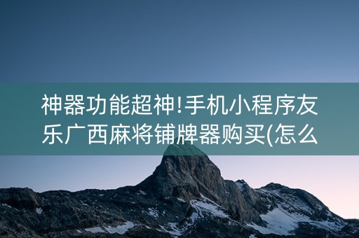 神器功能超神!手机小程序友乐广西麻将铺牌器购买(怎么提手拿好牌)