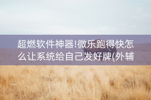 超燃软件神器!微乐跑得快怎么让系统给自己发好牌(外辅工具)
