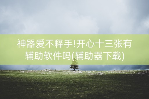 神器爱不释手!开心十三张有辅助软件吗(辅助器下载)