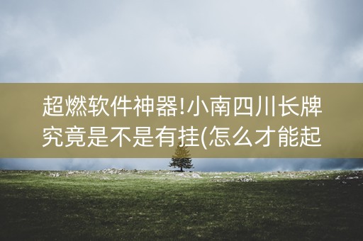 超燃软件神器!小南四川长牌究竟是不是有挂(怎么才能起到好牌)
