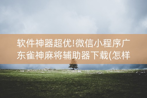 软件神器超优!微信小程序广东雀神麻将辅助器下载(怎样赢的几率大)