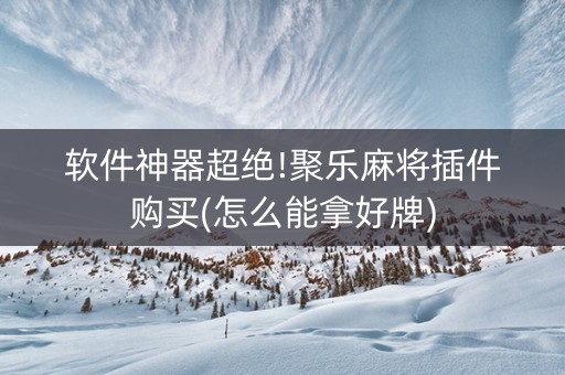 软件神器超绝!聚乐麻将插件购买(怎么能拿好牌)