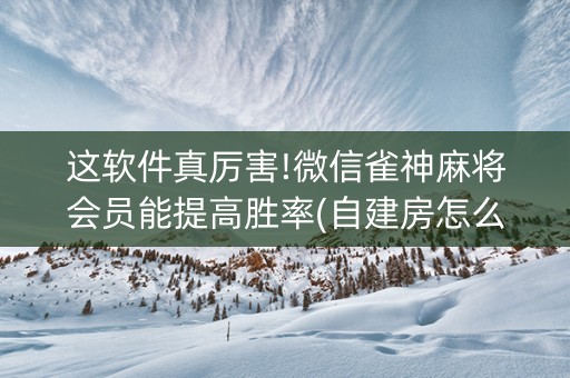 这软件真厉害!微信雀神麻将会员能提高胜率(自建房怎么拿好牌)