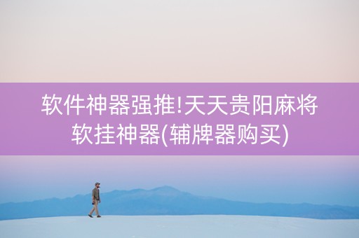 软件神器强推!天天贵阳麻将软挂神器(辅牌器购买)