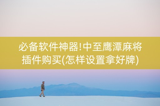 必备软件神器!中至鹰潭麻将插件购买(怎样设置拿好牌)