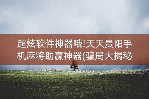 超炫软件神器哦!天天贵阳手机麻将助赢神器(骗局大揭秘)